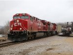 CP 8164